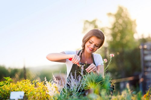 Company team performing hedge trimming in Sanderstead outdoors