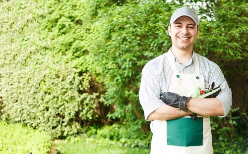 Professional maintenance of a Sanderstead landscape