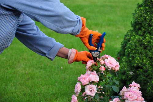 Garden maintenance crew clearing waste in a residential street
